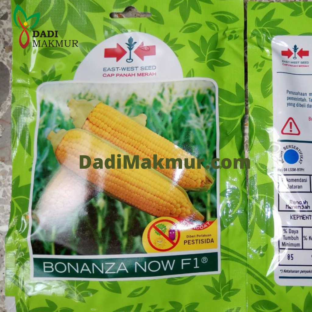 Benih Jagung Manis BONANZA NOW F1 200 Butir