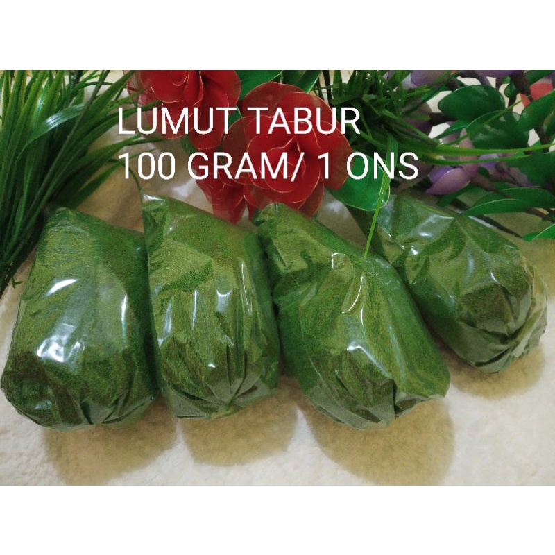 Lumut Tabur untuk kain Stoking Bahan bunga Stocking Murah Tebal/lumut kering 100 gram/1 ons.