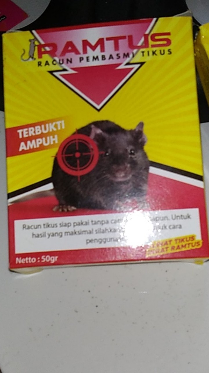 Racun Tikus Ramtus Asli Alami Mati Kering Tidak Bau Pembasmi Pengusir Tikus Super Paling Ampuh 2pack