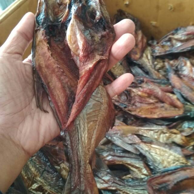 

IKAN SALAI PATIN