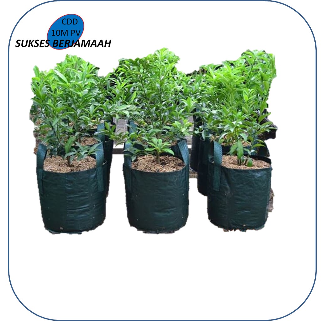 RPM Planter bag 75 liter pot tanaman pot besar pot durian bahan asli