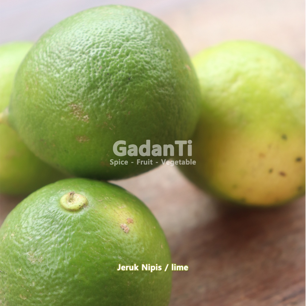 

JERUK NIPIS FRESH 1KG