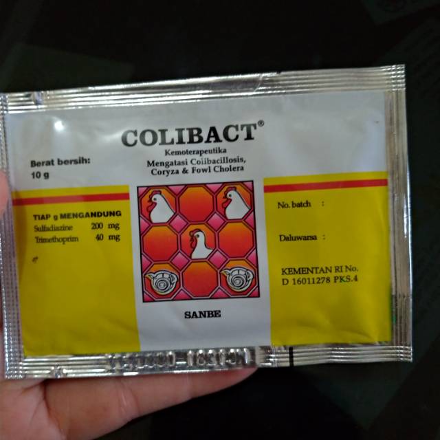 COLIBACT OBAT SAKIT PERUT