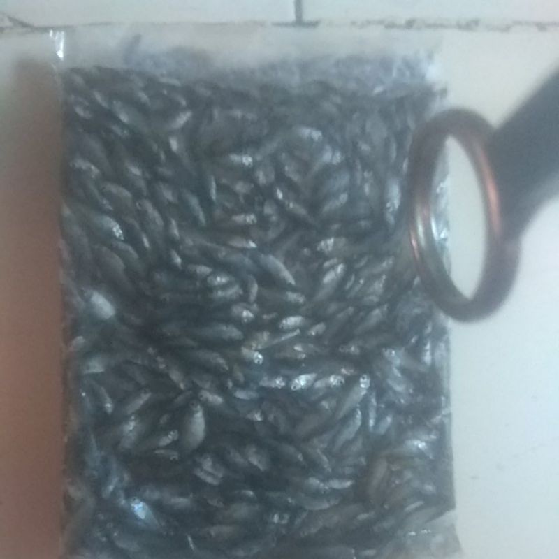 ikan cere beku / kecil kecil