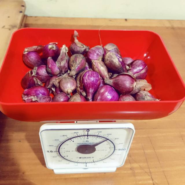 

Bawang Merah Brebes Segar 250 gram