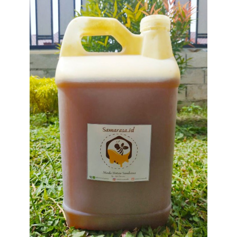 

Madu Hutan Sumbawa (5,5 Liter) Apis Dorsata