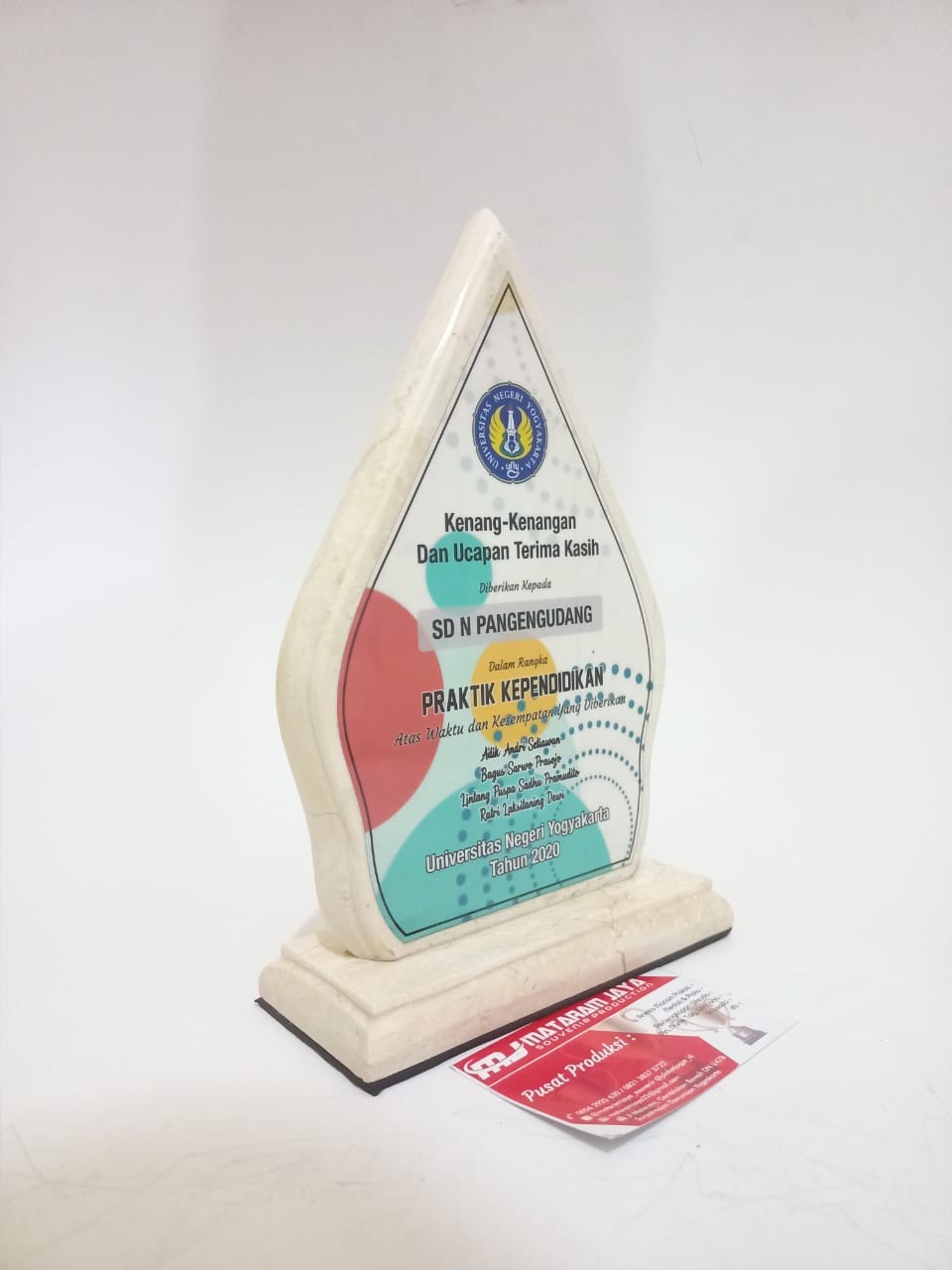 Murah Bibit Pohon Bidara Arab Unggul