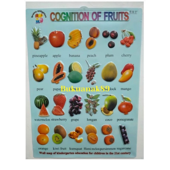 Poster Edukasi Poster Anak Poster Timbul Buah Fruit