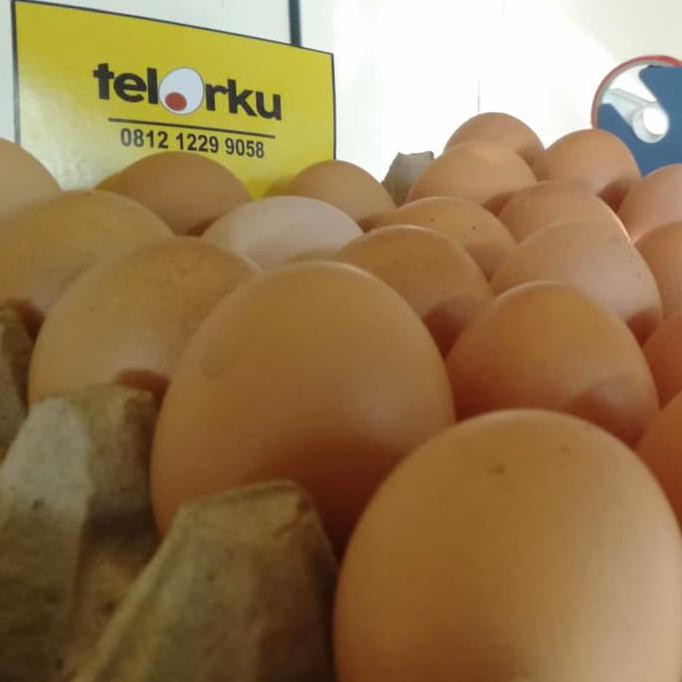 

Murah Telur Ayam Negri Murah Langsung Dari Peternak