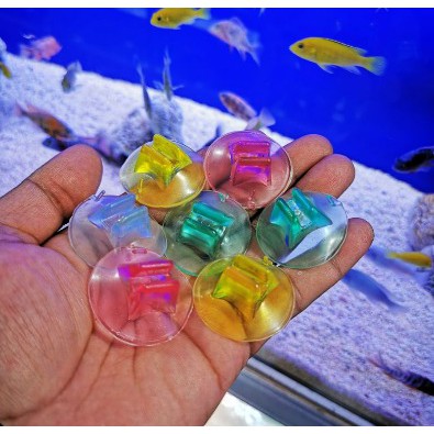 DOP SEKAT WARNA WARNI /PENYEKAT AQUARIUM KARET / KARET SEKAT KACA AQUARIUM