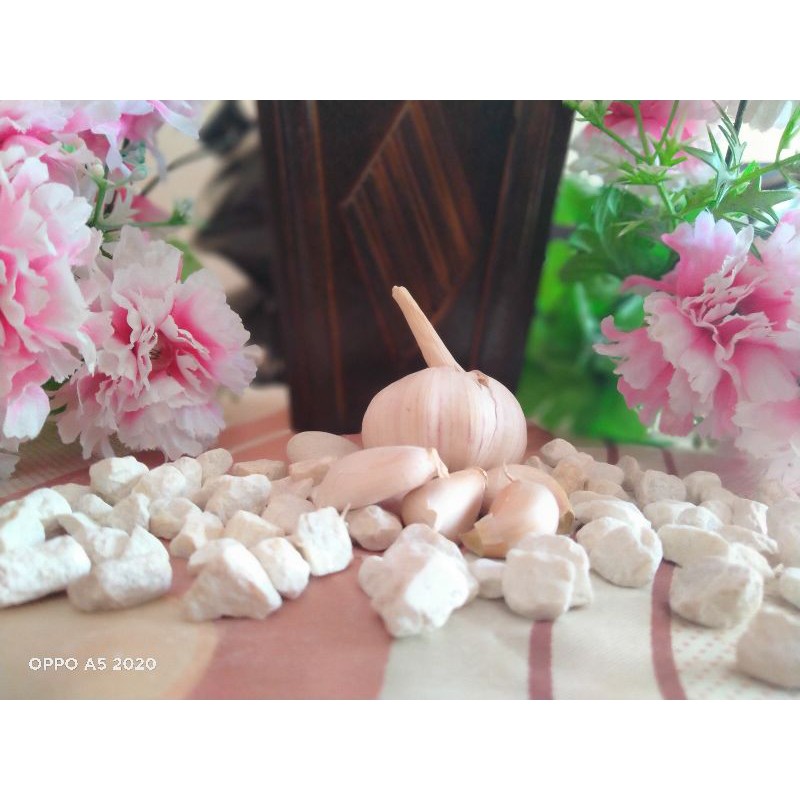 

BAWANG GORENG RENYAH GURIH DAN TERMURAH 45gram