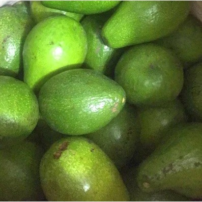 

Avocado (Alpukat) 3kg