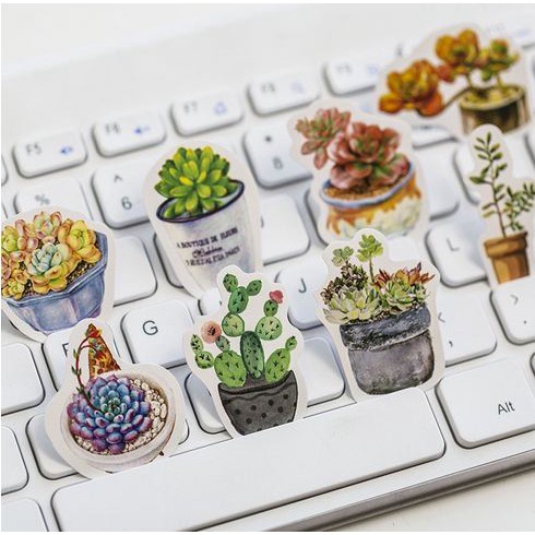 Label Stickers - Succulent Dish (50pcs )