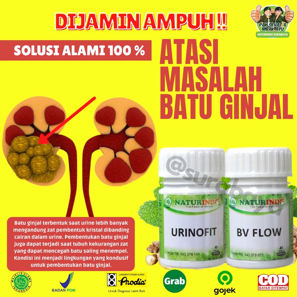 Obat Herbal Sulit Kencing Sakit Prostat Infeksi Saluran Kencing Anyang Anyangen Atasi Batu Ginjal Saluran Kemih Obat Kencing Batu kencing sakit Obat Gagal Ginjal Bocor Bengak Kencing Berbuih Berbusa Batu Spesialis Ginjal URINOFIT NATURINDO SURABAYA-ATASI BATU GINJAL