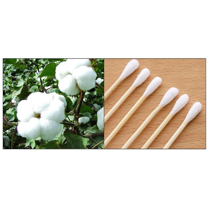 410135 - WOODEN COTTON BUDS 100 PCS / PACK ECOFRIENDLY