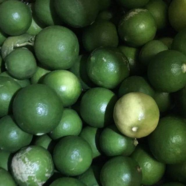 

Jeruk nipis/pecel 1kg