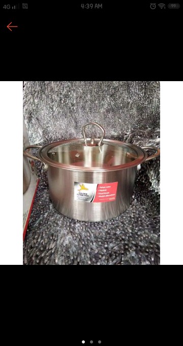 Spt0321 Panci Golden Flying Fish Stainless 21cm