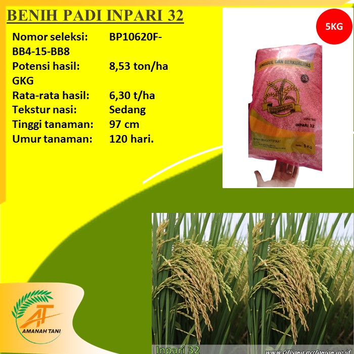 BENIH PADI INPARI 32 BERLABEL BERSERTIFIKAT 5KG