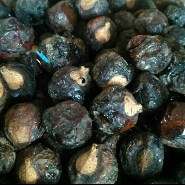 

Biji buah lerak biji klerek biji rerek biji sangling 250 gram