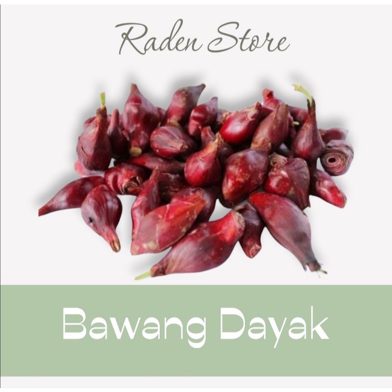 

Bawang Dayak Segar dan Kering 1 Kg