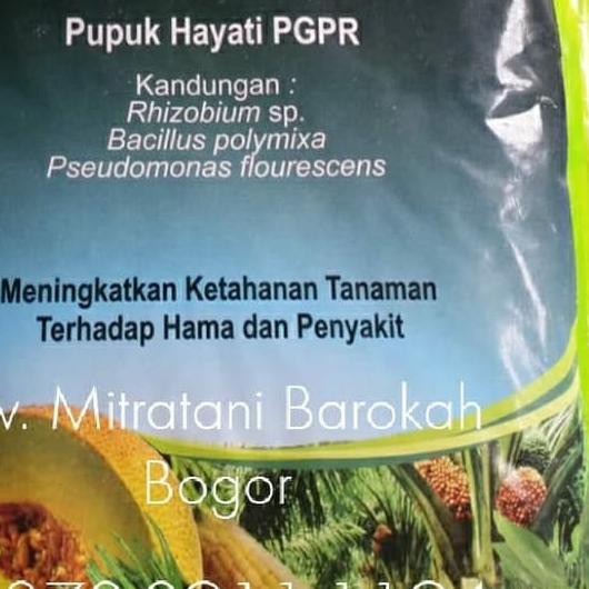 ➭ Pupuk PGPR (Rhizomax) ♕