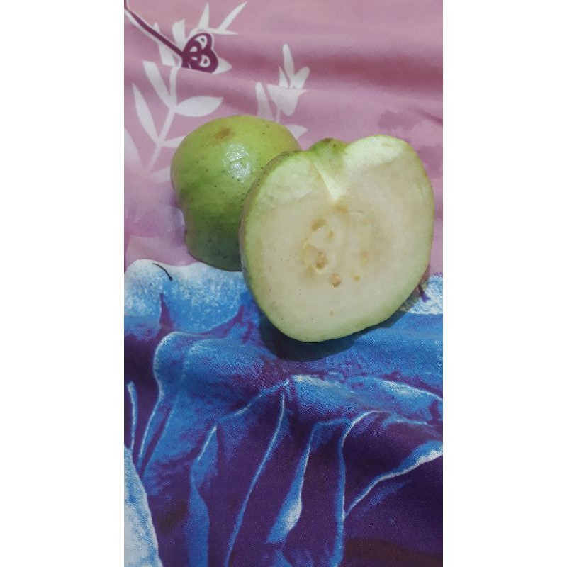 

jambu kristal