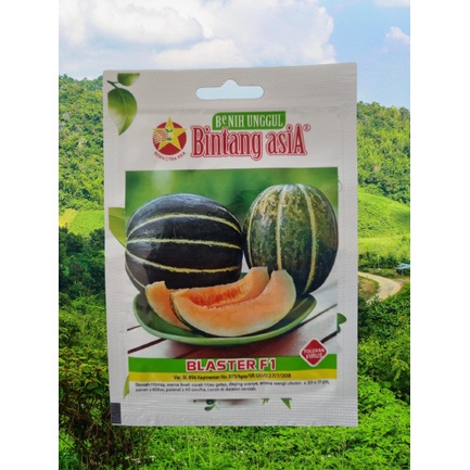 Benih Blewah Hibrida BLASTER F1