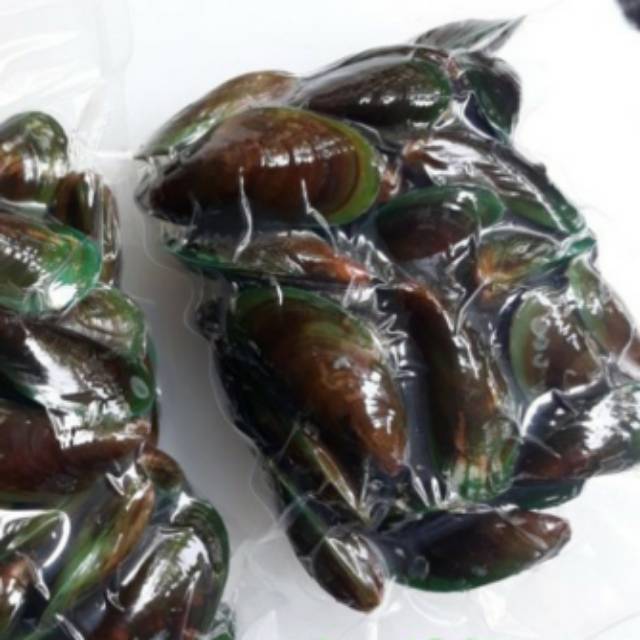 

PROMO Kerang hijau Bersih / kerang hijau segar size 1kg