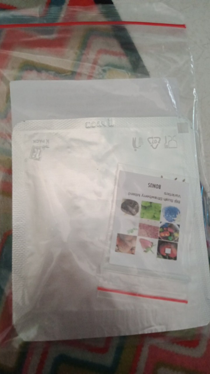 Biji Benih Sayur Bayam Merah