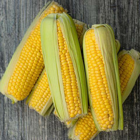 

Jagung Kupas Segar - 500gr