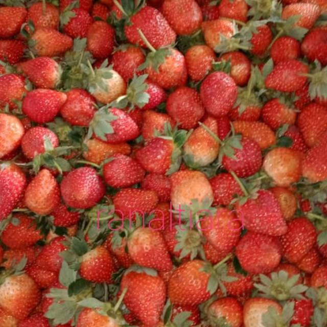 

Strawberry Fresh Jumbo / Buah Strawberry Jumbo