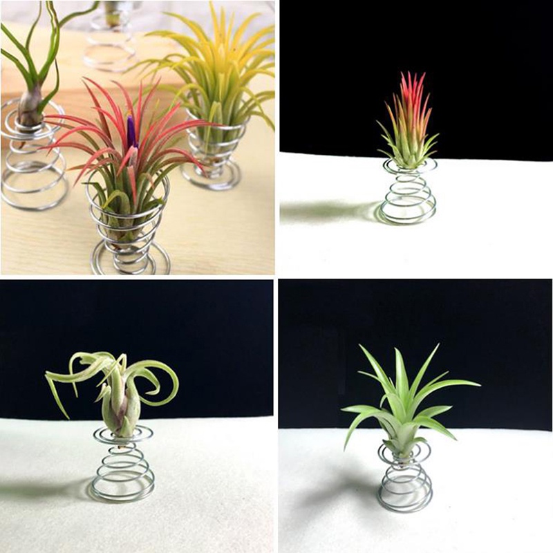 （✔✔❤6pcs Stand Holder Pot Bunga / Tanaman Tillandsia Bahan Stainless Steel