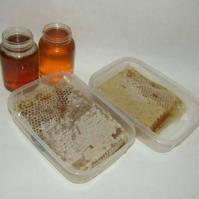

MADU SARANG MELIFERA ASLI 500GR