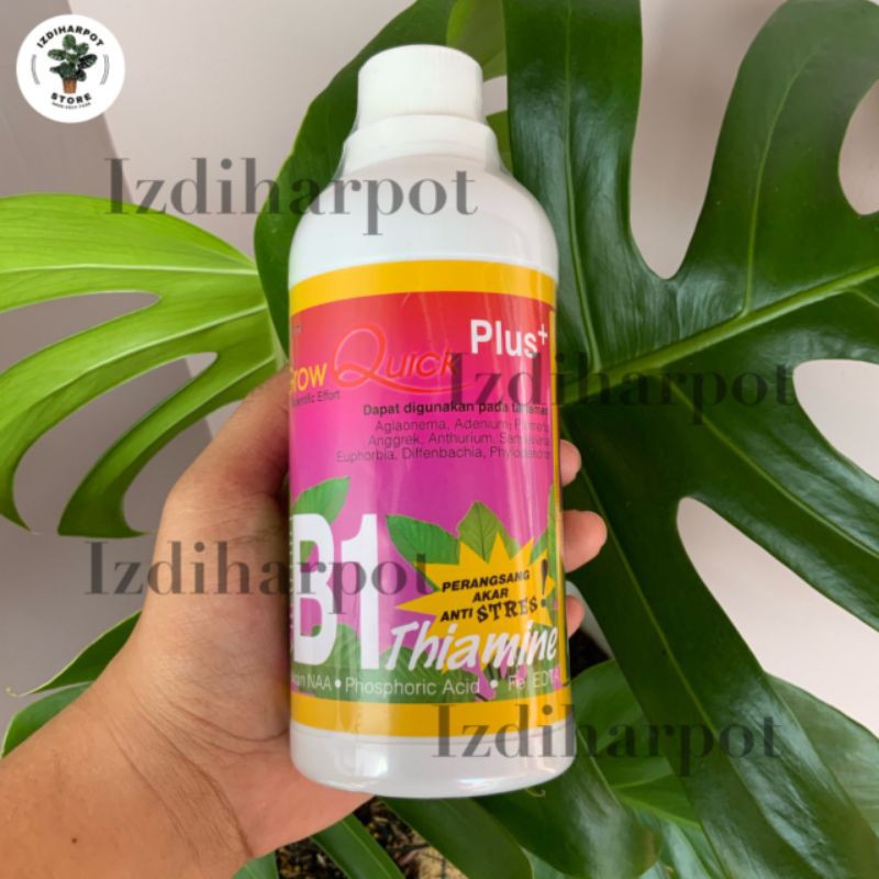 pupuk vitamin B1 plus grow quick 500ml hormon akar - B1 PLUS BESAR