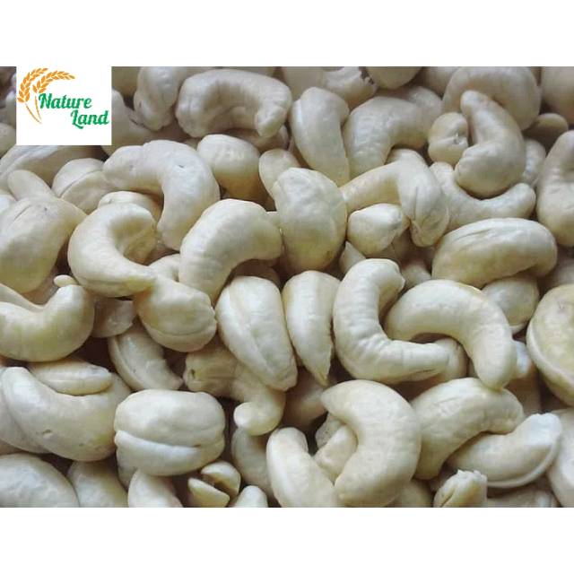 

Kacang Mede/Mete Jumbo Sulawesi 100 Gr (Kualitas Super)