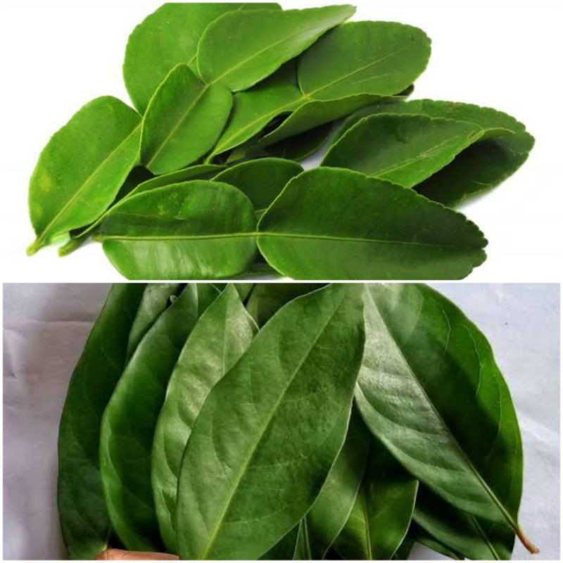 Daun Jeruk / Daun Salam / Berat 1 kg