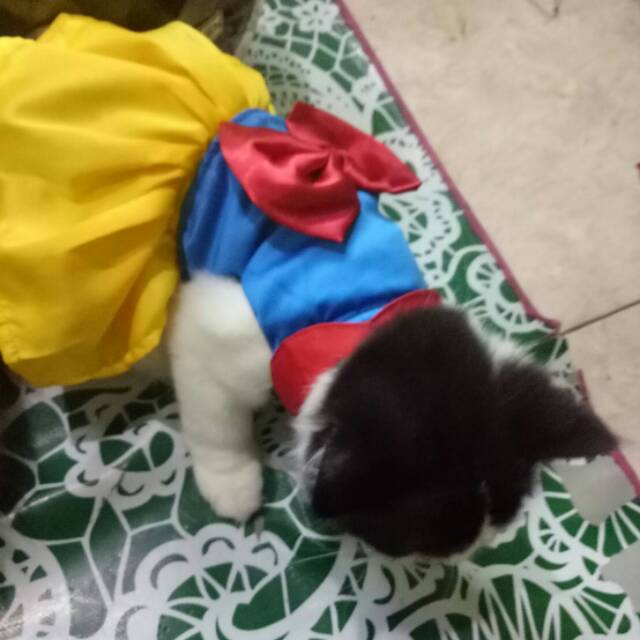 Dress snow white cute banget untuk anjing dan kucing size S M L XL