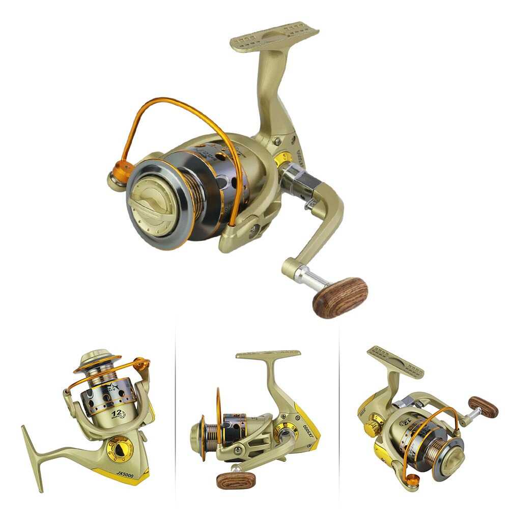 DARCY JX2000 Reel Pancing Spinning 12 Ball Bearing 5.5:1