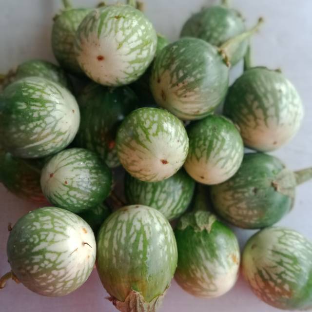 

Terong bulat 250gr