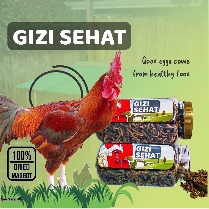 Pakan Makanan Pelet Ayam Pelung Serama Petelur Kate Maggot IKANESIA