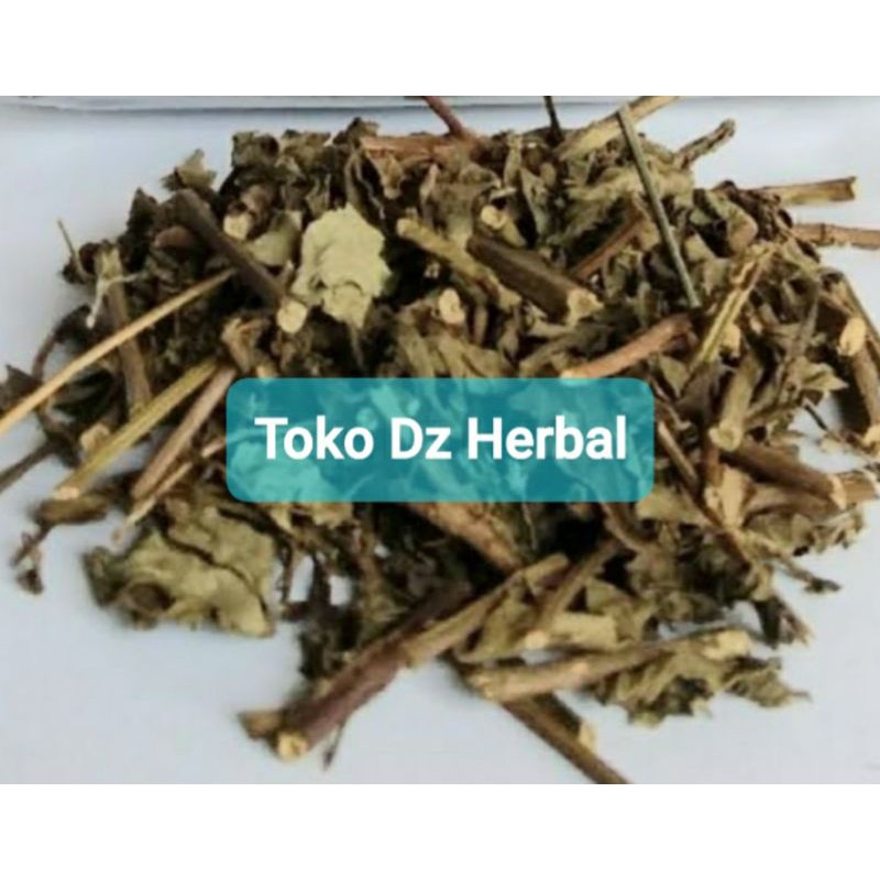 

Daun kumis kucing versi kering 500 gram-az