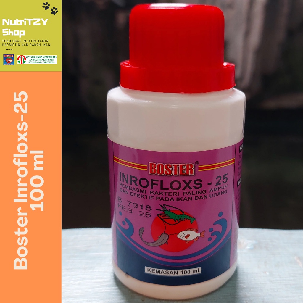 Jual Boster Inrofloxs 25 100ml Cair Obat Anti Bakteri Ikan Kolam