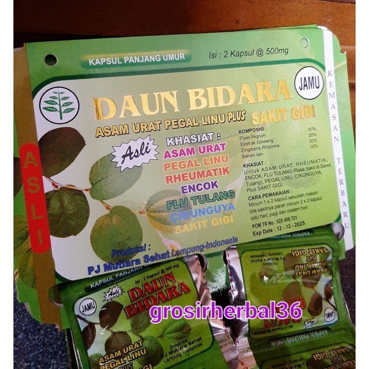Daun Bidara Kapsul
