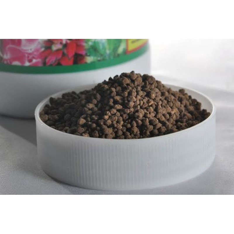 Pupuk Guano Kelelawar