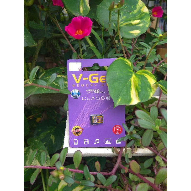 memory card vgen 4 gb c6