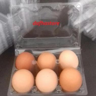 

(PROMO 0CJ58) Mika Telur / Egg Tray / Tray Telur Isi 6 Butir Sudah ada Pengunci. ✸