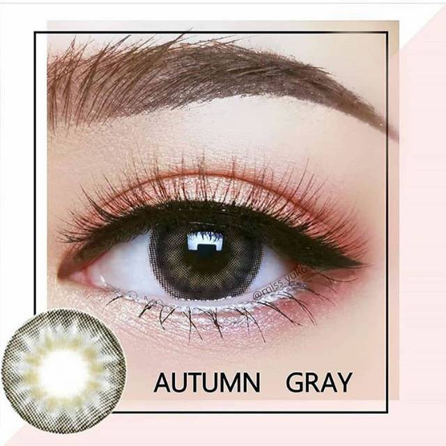 Softlens Autumn Dreamcolor1 DC1 Dreamcon Korea Gray Brown Normal Minus lensa kontak