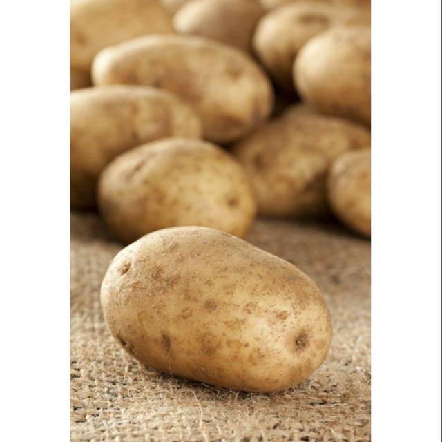 

Kentang Super Kualitas Grade A per 500 gram