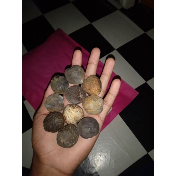 Muncang Adu Asli Pangandaran Per Buah