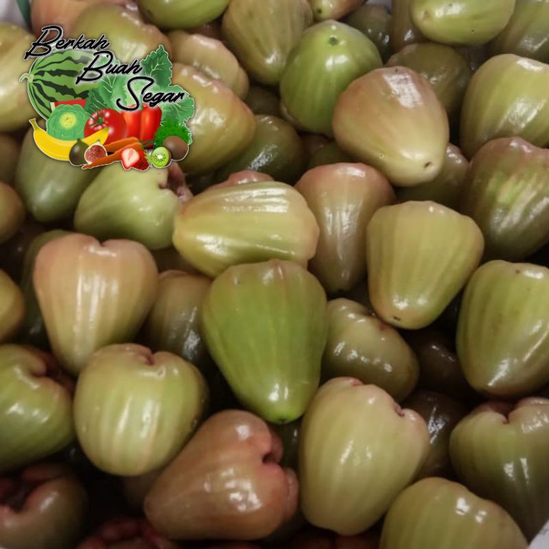 

Jambu Cincalo Hijau per 1Kg